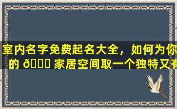 室内名字免费起名大全，如何为你的 🐎 家居空间取一个独特又有意义的名字